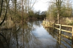 flooded lane